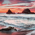 Sailors Delight